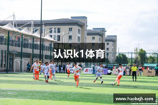 认识k1体育